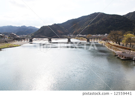 Kintai bridge in autumn 12559441
