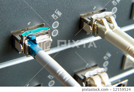 network cables 12559524