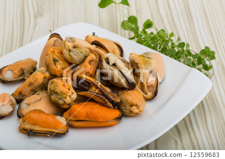 Mussels Mussels 12559683