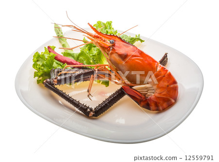 Giant Freshwater Prawn 12559791