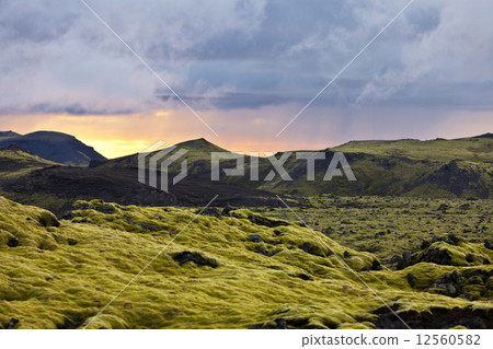 Surreal landscape with wooly moss at sunset in Iceland 12560582