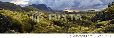 Surreal landscape with wooly moss at sunset in Iceland 12560585