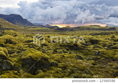 Surreal landscape with wooly moss at sunset in Iceland 12560586