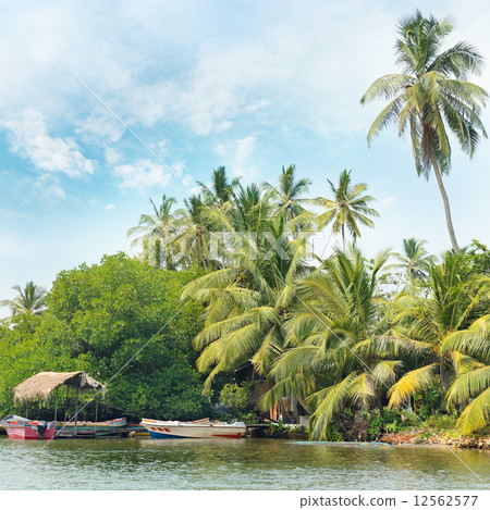 Equatorial forest and boats on the lake 12562577