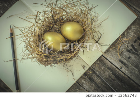 golden eggs in the nest, notebook, pencil over wooden background 12562748