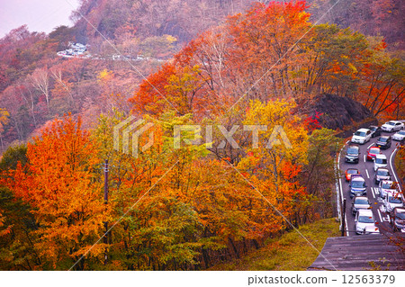 Iroha za in a traffic jam Iroha za in a traffic jam 12563379