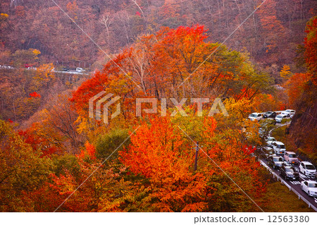 Iroha za在交通堵塞 Iroha za在交通堵塞 12563380