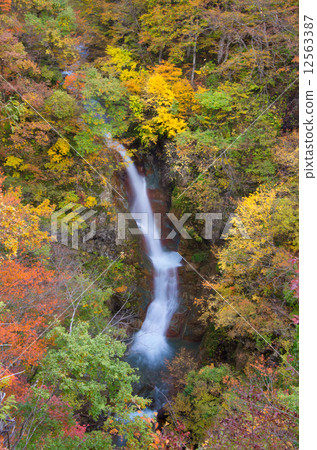 Akiyama Township - Beef waterfall Akiyama Township - Beef waterfall 12563387