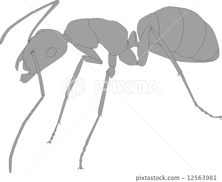 是例證例證Clioori 是例證例證Clioori 12563981