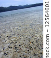 Wave 12564601