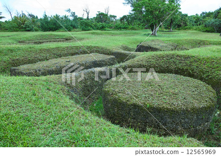 Taga Stone ruins on Rota Island 12565969