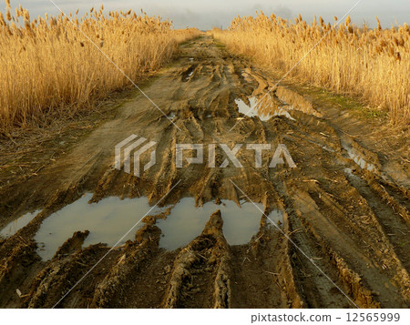 dirty rural road dirty rural road 12565999