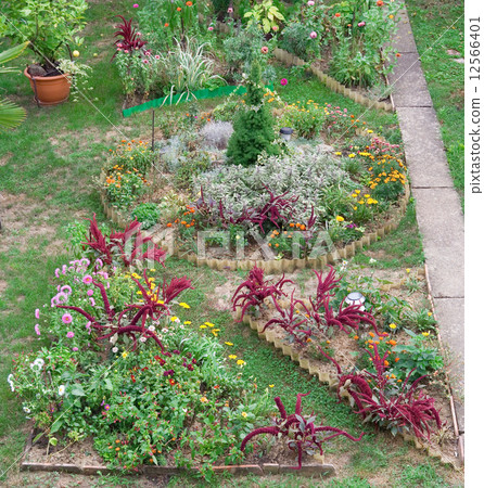 Backyard Garden 12566401