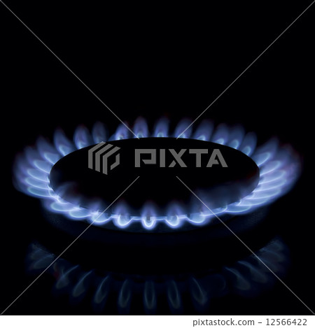 Gas burner Gas burner 12566422