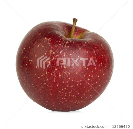 red apple isolated on white background red apple isolated on white background 12566450