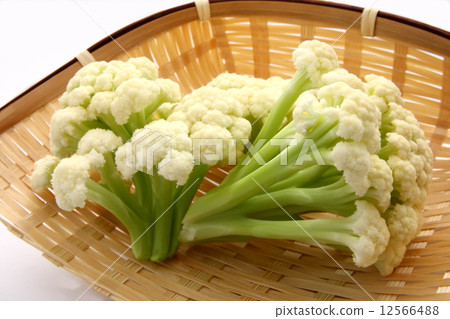Cauliflow Stalk Cauliflower Ingredients White Background 12566488