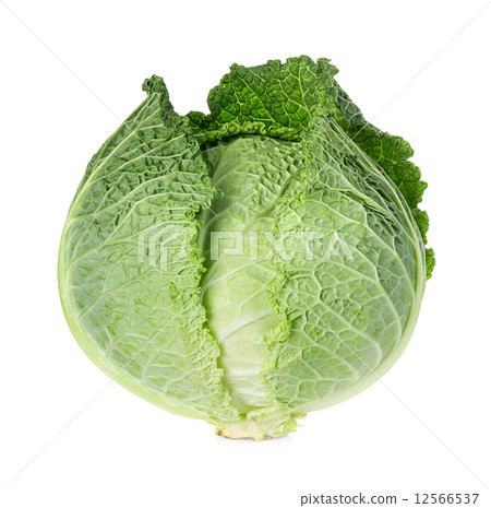 Savoy cabbage isolated on white background 12566537