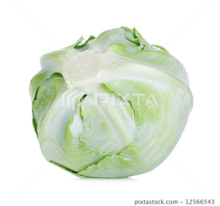 White cabbage isolated on white background White cabbage isolated on white background 12566543