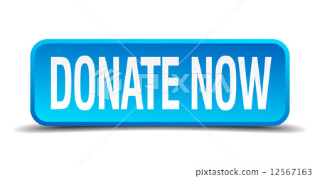 donate now blue 3d realistic square isolated button 12567163