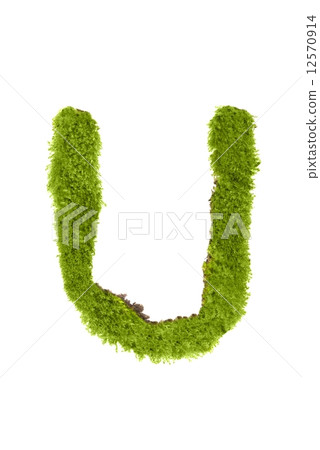 Letter made out of Leaves 12570914