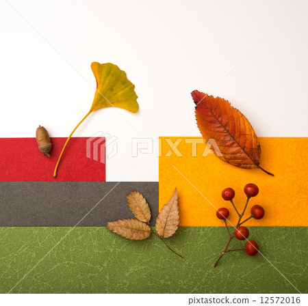Acorn leaf fallen leaves 12572016