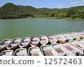 boat  12572463
