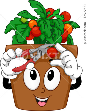 Cherry Tomatoes Mascot 12572562