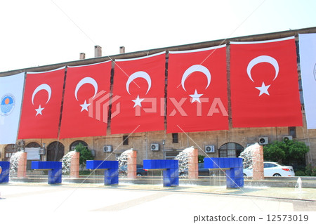 Flag of Turkey 12573019