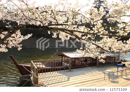 April Hikone Castle Shiga Horiguchi · Houseboat and cherry blossoms April Hikone Castle Shiga Horiguchi · Houseboat and cherry blossoms 12573109