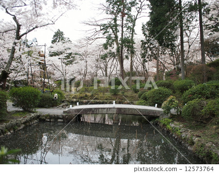 Honjozan Sonjoji（Ojjōjiji）Mitsuji寺 12573764