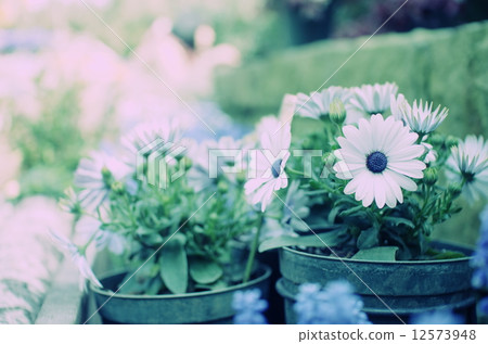 有趣的顏色 12573948