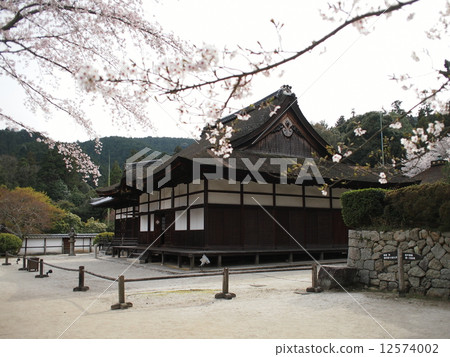 Honjozan Sonjoji (Ojjōjiji) Mitsuji-ji Temple The Shrine Honjozan Sonjoji (Ojjōjiji) Mitsuji-ji Temple The Shrine 12574002