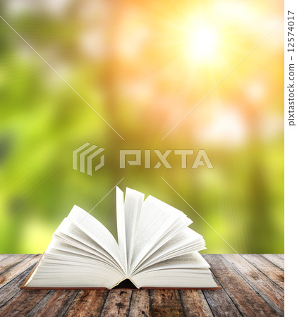 Book on wooden planks Book on wooden planks 12574017