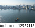 Aerial view of Tokyo Tower from Tokyo Bay 12575418