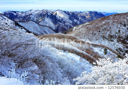 Ochamaichi系列 - 冬季機會觀察，第1部分 12576030