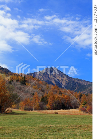 Kiyosato Plateau of Autumn 12577037