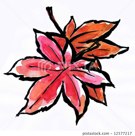 插图素材: 枫树 红枫 枫叶