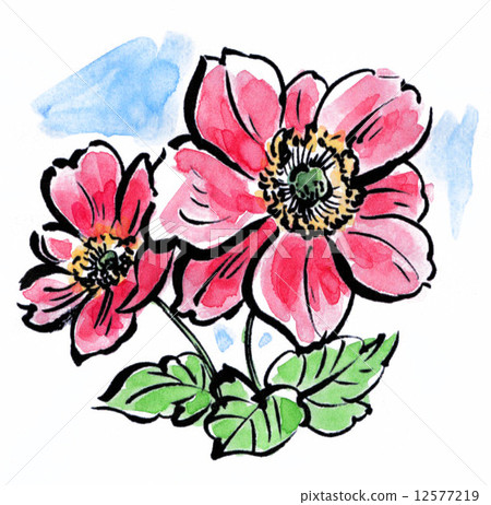 japanese anemone, bloom, blossom 12577219