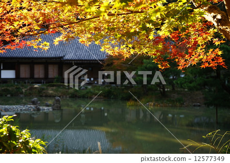 Autumn's Joruri Temple 12577349