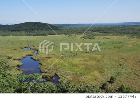 Kushiro Marsh Kushiro Marsh 12577442