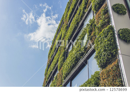 Wall greening　 12578699