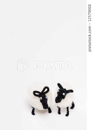 Sheep image material 12579008