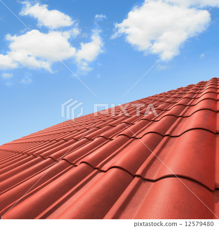 Roof 12579480