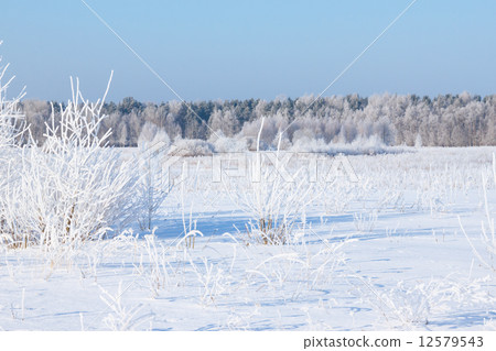 Winter with blue sky 12579543