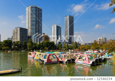 休閒船在Shinobazu池塘和周圍的景觀 12580254
