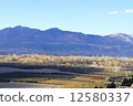 landscape of Turkey 12580337