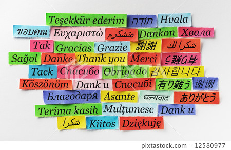 Thank You Thank You 12580977