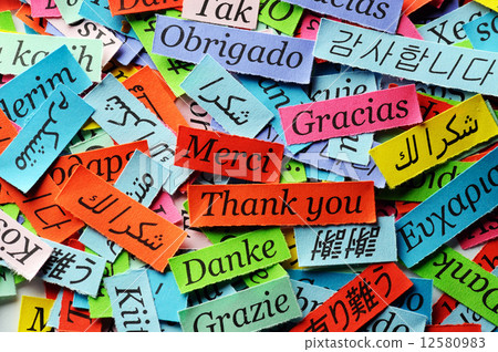 Thank You Thank You 12580983