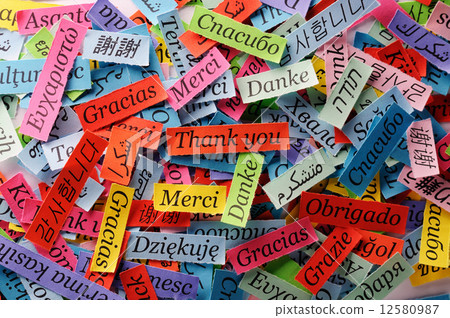 Thank You Thank You 12580987