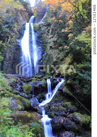 逆行谷回顧的瀑布 12581466